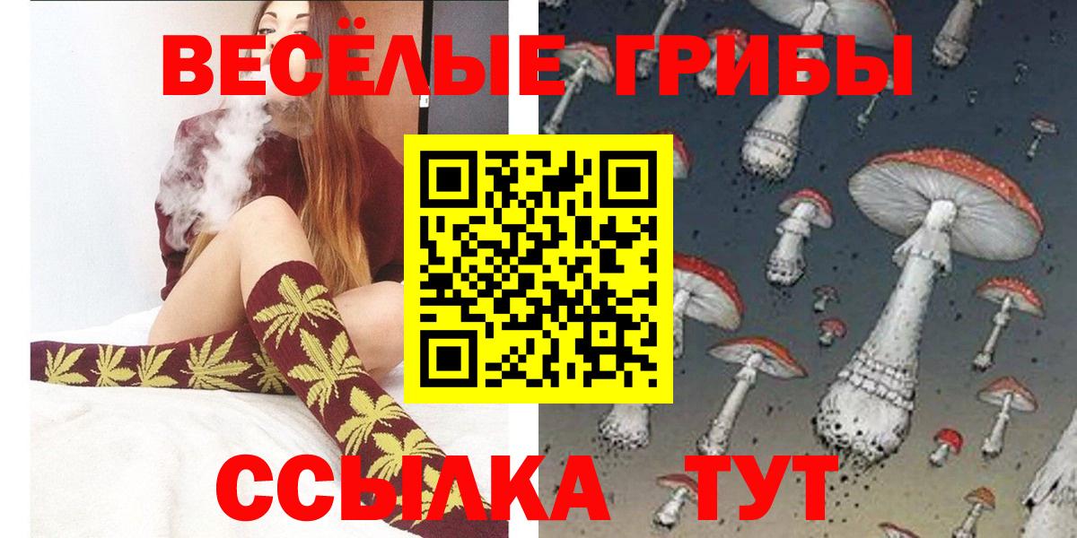 Минусинск  Галлюциногенные грибы Psilocybe  Вход с VPN 