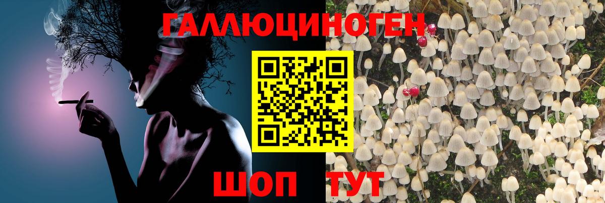 Псилоцибиновые грибы мухоморы Минусинск